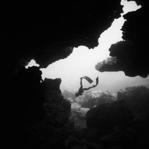 Photo by Katherine Kollman